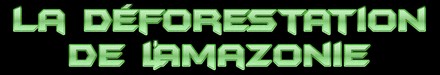La déforestation de l'Amazonie