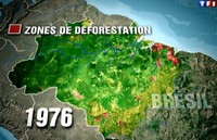 Carte des zones de déforestation de l'Amazonie en 1976