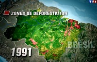Carte des zones de déforestation de l'amazonie en 1991